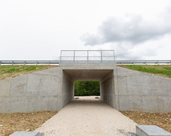 Pipe Culvert